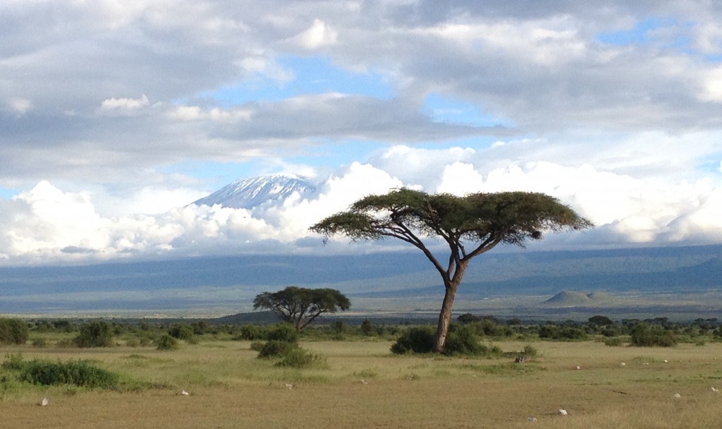 Classic Amboseli.