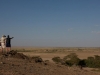 Scouting-the-landscape-in-Amboseli